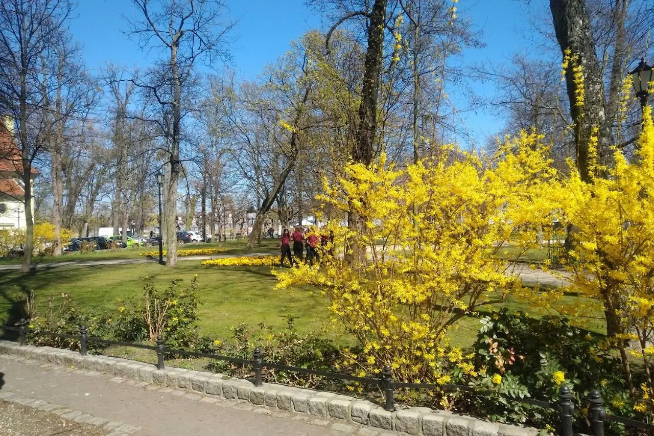 Apartment Studio Blekitny Wieloryb Przy Plazy, Molo, Idealny Dla Podroznikow Sopot